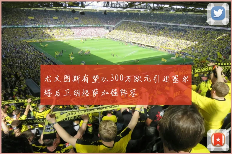 尤文图斯有望以300万欧元引进塞尔塔后卫明格萨加强阵容