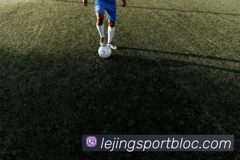 乐竞体育平台生态图